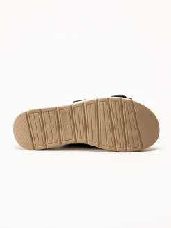 Scholl - Scilla 2 Buckles - Svarta sandaler i nubuck